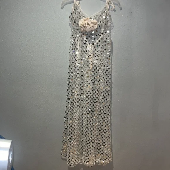 For love of lemons Charelle Maxi Dress Silver